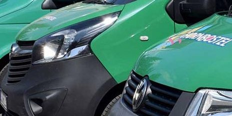 Eine Reihe von grünen Lieferwagen parkt nebeneinander auf einem sonnigen Parkplatz, die Fahrzeuge sind gut sichtbar.